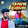 About Pagla Diwana Song